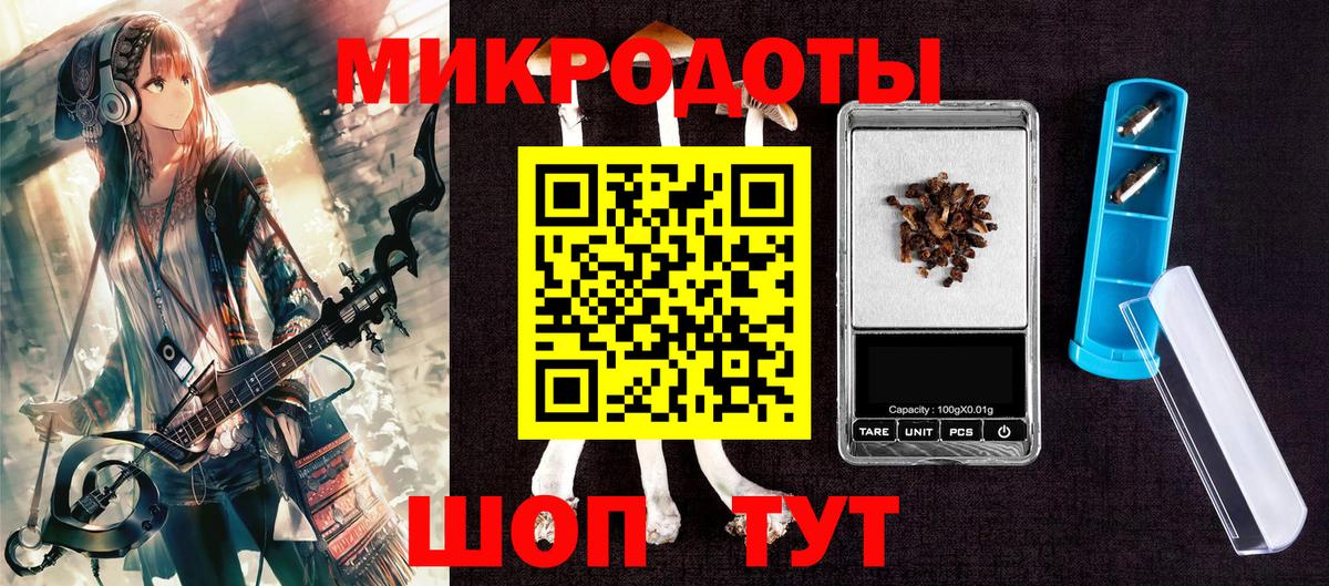 Псилоцибиновые грибы Psilocybine cubensis Щёкино